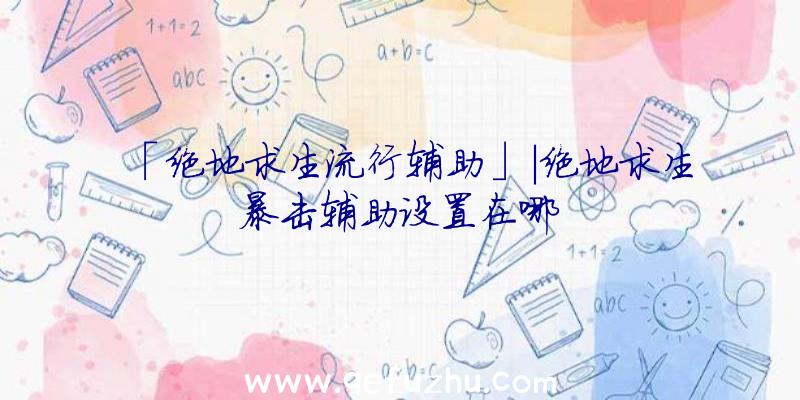 「绝地求生流行辅助」|绝地求生暴击辅助设置在哪